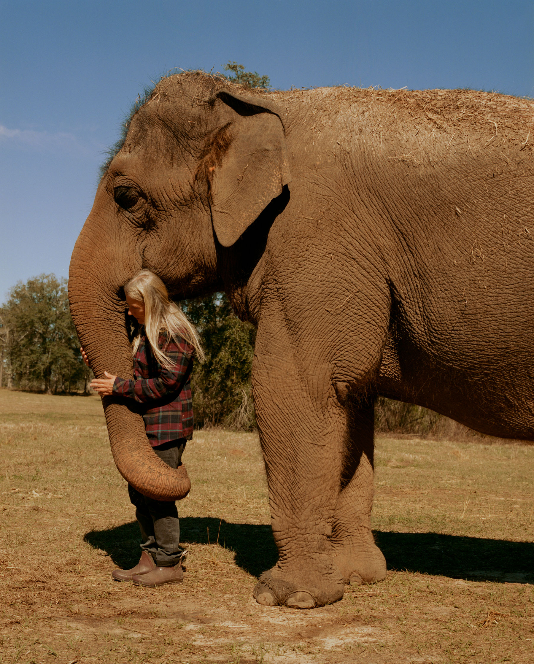 Sanctuary The Atavist Magazine